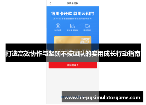 打造高效协作与坚韧不拔团队的实用成长行动指南