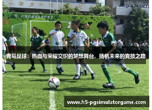 青岛足球：热血与荣耀交织的梦想舞台，扬帆未来的竞技之路