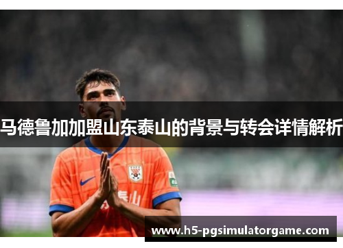 马德鲁加加盟山东泰山的背景与转会详情解析