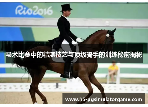 马术比赛中的精湛技艺与顶级骑手的训练秘密揭秘